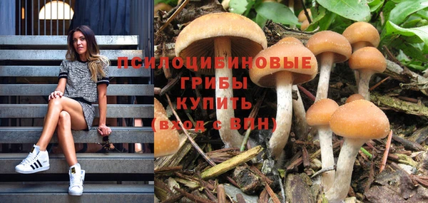 гашик Абинск