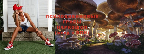 каннабис Абаза