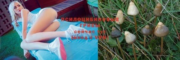 apvp Абдулино