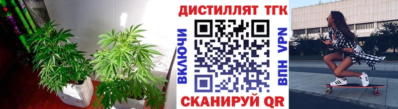 ТГК вейп с тгк Нестеров