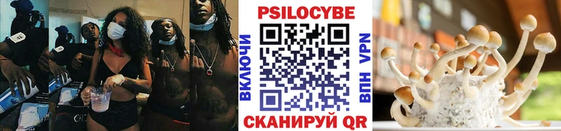 Галлюциногенные грибы мицелий  наркота  мега ССЫЛКА  Нестеров 